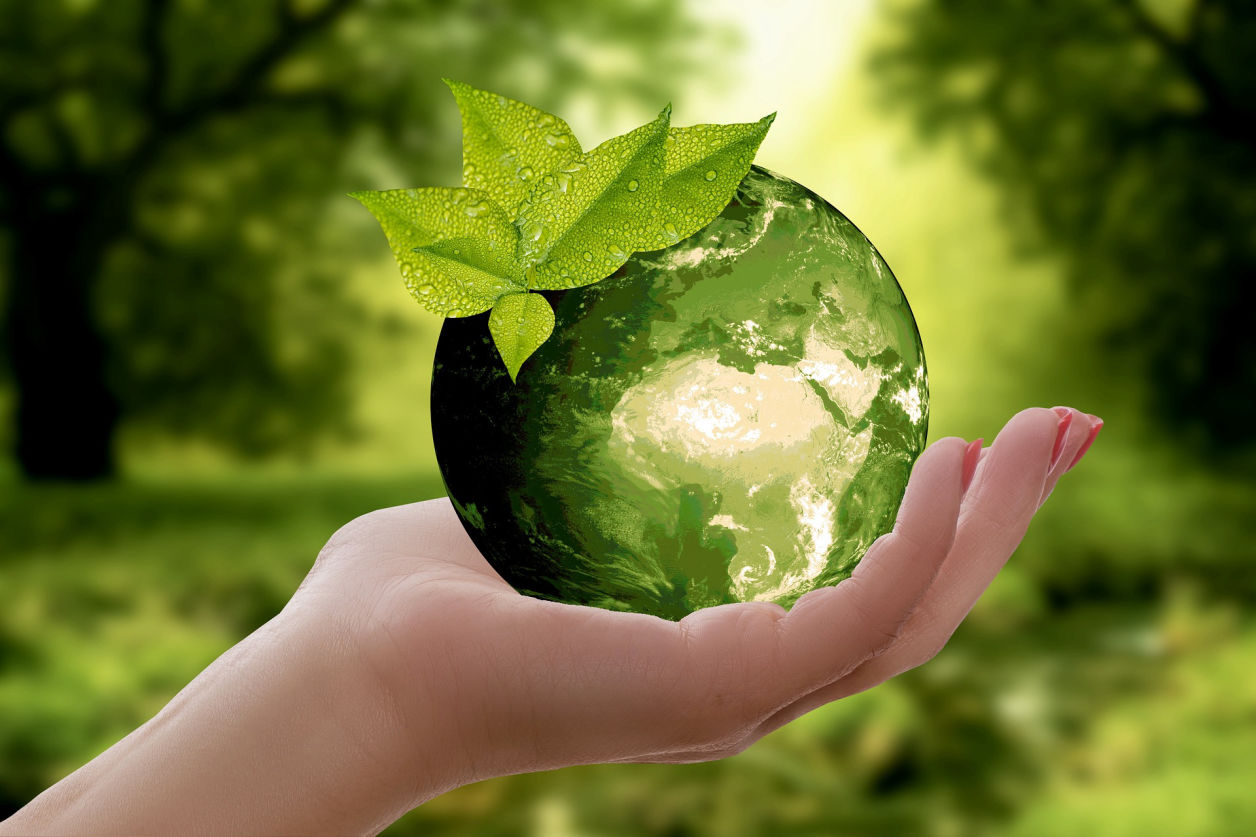 Ecologique
